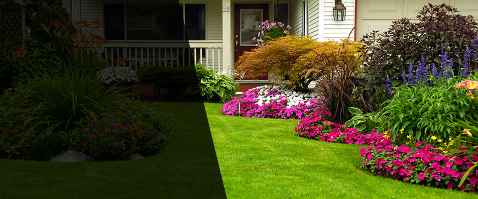 Cloverdale Landscapers