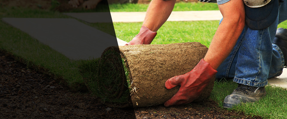 Cloverdale Landscapers